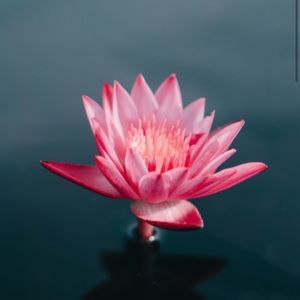 Meet your Posher, Elysha